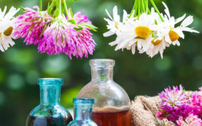 Beneficios de las Flores de Bach®