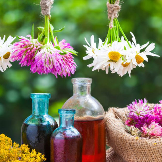 Beneficios de las Flores de Bach®